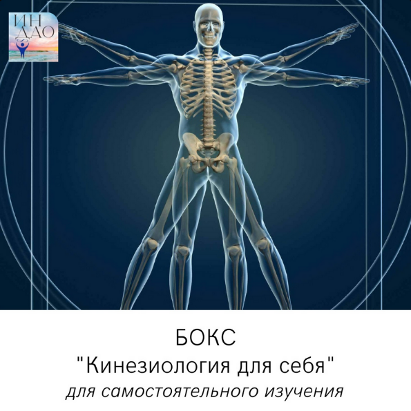 [Сергей Матюшкин] Бокс _Кинезиология для себя_ (20_0.png